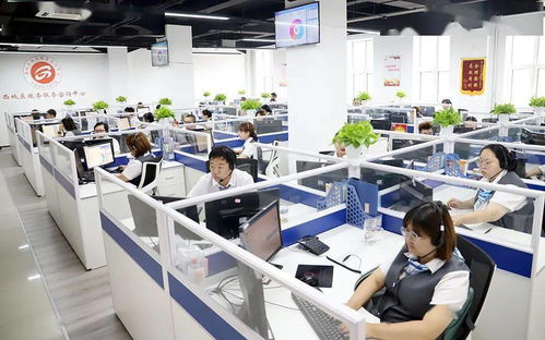 区政务服务管理局与医保局联动推进“未诉先办” 信息咨询服务提升群众满意度